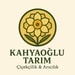 Yönetici Fotoğrafı